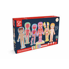 puzzle magnetico cuerpo humano